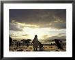 Black-Footed Penguins On The Beach, South Africa by Stuart Westmoreland Limited Edition Pricing Art Print