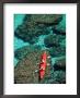Kayakers Paddle On The Clear Waters Of The Gulf Of California by Ralph Lee Hopkins Limited Edition Print