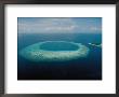 Aerial View Of Male Atoll by James L. Stanfield Limited Edition Print