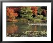 Reflecting Pool In Japanese Garden, Seattle, Washington, Usa by Jamie & Judy Wild Limited Edition Print