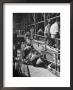 Sports Fans Attending Baseball Game At Ebbets Field by Ed Clark Limited Edition Print