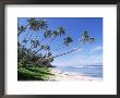 Faiaai Beach, Island Of Savaii, Western Somoa by Douglas Peebles Limited Edition Print