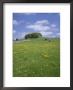 Alstonfield, Peak District National Park, Derbyshire, England, United Kingdom by Roy Rainford Limited Edition Print