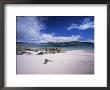 View Towards Islands Of Harris And Lewis From Taransay, Outer Hebrides, Scotland by Lee Frost Limited Edition Print