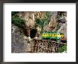 Yukon Railroad Train On Wooden Bridge, White Pass, Skagway, Alaska by Lee Foster Limited Edition Print