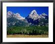 Grand Teton, Near Cottonwood Creek, Grand Teton National Park, Wyoming by David Tomlinson Limited Edition Pricing Art Print