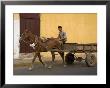 Man Riding On Horse-Drawn Cart, Granada, Nicaragua by Margie Politzer Limited Edition Print