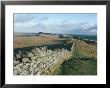 Hadrian's Wall, Unesco World Heritage Site, Northumbria, England, U.K. by Adam Woolfitt Limited Edition Print