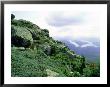 View Of Lake Placid From Summit Of Whiteface Mt, Ny by David M. Dennis Limited Edition Print