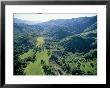 An Aerial View Of Oak Woodlands On Black Mountain And Lion Canyon by Rich Reid Limited Edition Print