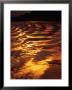 Sunlight Reflecting Off The Dark Water Of The Rio Negro, Amazonas, Brazil by Tom Cockrem Limited Edition Print