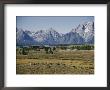 Jackson Lake Lodge Has A Magnificent View Across Jackson Lake Toward The Tetons by Joseph Baylor Roberts Limited Edition Pricing Art Print