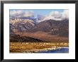 Mono Lake And High Sierra At Sunrise, Mono Lake, California by Brent Winebrenner Limited Edition Print