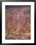 Painting Of Turtle At The Aboriginal Rock Art Site At Obirr Rock In Kakadu National Park by Robert Francis Limited Edition Print