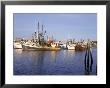 Fishing Boats, Hyannis Port, Cape Cod, Massachusetts, New England, Usa by Walter Rawlings Limited Edition Print