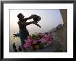 Woman Pouring Water Over Flowers On An Altar As A Religious Ritual, Varanasi, India by Eitan Simanor Limited Edition Print