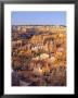 View Over Silent City From Sunset Point, Bryce Canyon National Park, Utah, Usa by Tony Gervis Limited Edition Print