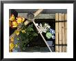 Water Trough, Kyoto City, Honshu, Japan by Christian Kober Limited Edition Pricing Art Print