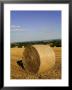 Hay Bales, Seen From The Cotswolds Way Footpath, The Cotswolds, Gloucestershire, England by David Hughes Limited Edition Pricing Art Print