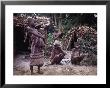 Mbnti Pygmies And Their Forest Huts, Ituri Rain Forest, Northern Zaire, Zaire, Africa by David Beatty Limited Edition Print