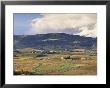 Vineyards Near Beaujeu, Beaujolais-Rhone Wine Area, Rhone Alpes, France by Michael Busselle Limited Edition Print