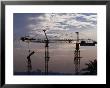 Construction Site Cranes At Sunset, Dubai, United Arab Emirates by Phil Weymouth Limited Edition Print