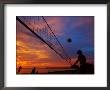 Sunset Volleyball On Playa De Los Muertos (Beach Of The Dead), Puerto Vallarta, Mexico by Anthony Plummer Limited Edition Print