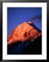 Peak Of Mt. Cook, Mt. Cook National Park, New Zealand by David Wall Limited Edition Print