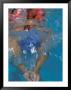 Girl Swimming, Santa Fe, New Mexico, Usa by Lee Kopfler Limited Edition Print