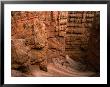 Wall Street Canyon Sides, Bryce Canyon National Park, Utah, Usa by Lawrence Worcester Limited Edition Print