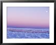 Frozen Hudson Bay, Churchill Manitoba by Robert Franz Limited Edition Print