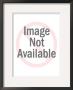Negev Desert, Israel by Eyal Bartov Limited Edition Pricing Art Print