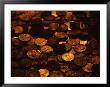 Mound Of Pennies by Joel Sartore Limited Edition Pricing Art Print