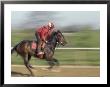 Keenland Horse Race Track, Lexington, Kentucky, Usa by Michele Molinari Limited Edition Print