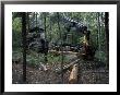 Valmet Forwarder, Green Certification, Logging, Maine, Usa by Jerry & Marcy Monkman Limited Edition Print