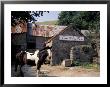 Riding Stables, Malmstead, Devon, England by Nik Wheeler Limited Edition Print