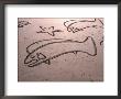 Sand Painting On Santa Cruz Beach, Santa Cruz, California, Usa by Lee Foster Limited Edition Print