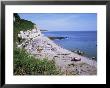 Beach And Cliffs, Beer, Devon, England, United Kingdom by Roy Rainford Limited Edition Print