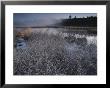 Frost-Covered Grasses And Early Morning Mist Over Teton Marsh Area by Raymond Gehman Limited Edition Print