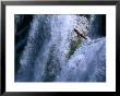 Man Leaping Off One Of The Skradinski Buk Waterfalls, Krka National Park, Sibenik-Knin, Croatia by Martin Moos Limited Edition Print