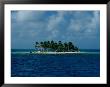 A Small Palm Tree-Covered Island Off Of The Coast Of Belize by Wolcott Henry Limited Edition Print