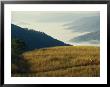Mountain Biking Through Fields Above Fog-Shrouded Elk River Valley by Skip Brown Limited Edition Print