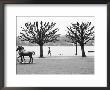 Lake Lucerne, Lucerne, Switzerland by Walter Bibikow Limited Edition Print