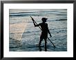 Fisherman Pulling Fishing Net In Sea, Sadani Game Reserve, Tanzania by Ariadne Van Zandbergen Limited Edition Pricing Art Print