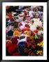 Tulips For Sale In Grafton Street, Dublin, Ireland by Doug Mckinlay Limited Edition Print
