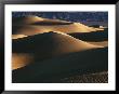 Mesquite Flat Dunes, Death Valley National Park, California, Usa by Jerry Ginsberg Limited Edition Print