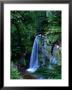 Russell Falls With Ferns In Foreground, Mt. Field National Park, Australia by John Banagan Limited Edition Print