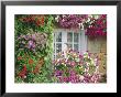 Farmhouse Window Surrounded By Flowers, Lile-Et-Vilaine Near Combourg, Brittany, France, Europe by Ruth Tomlinson Limited Edition Print