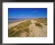 Dunes At Hardelot Plage, Near Boulogne, Pas-De-Calais, France, Europe by David Hughes Limited Edition Print