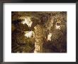 Grotte De L'observatoire, Jardin Exotique, Moneghetti, Monaco by Ethel Davies Limited Edition Print